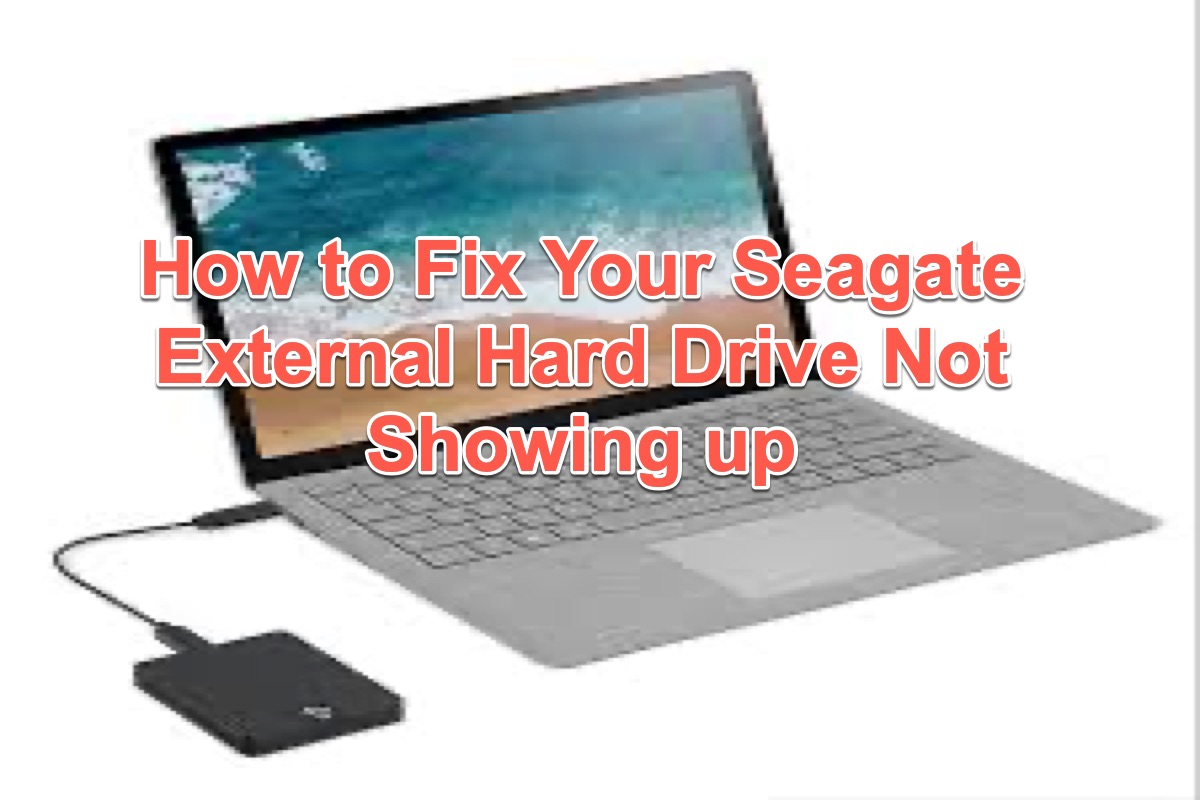 seagate external hard drive not showing up
