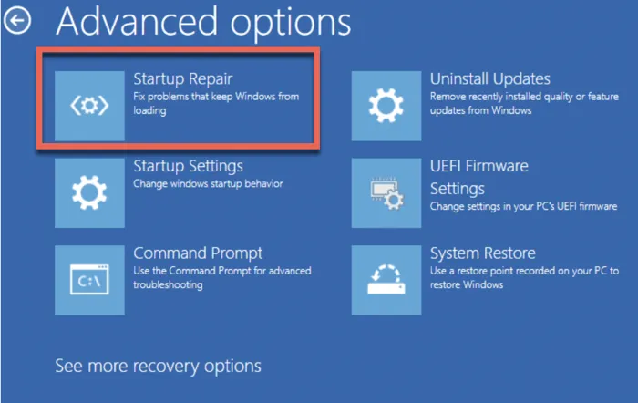Startup Repair in Advanced recovery options