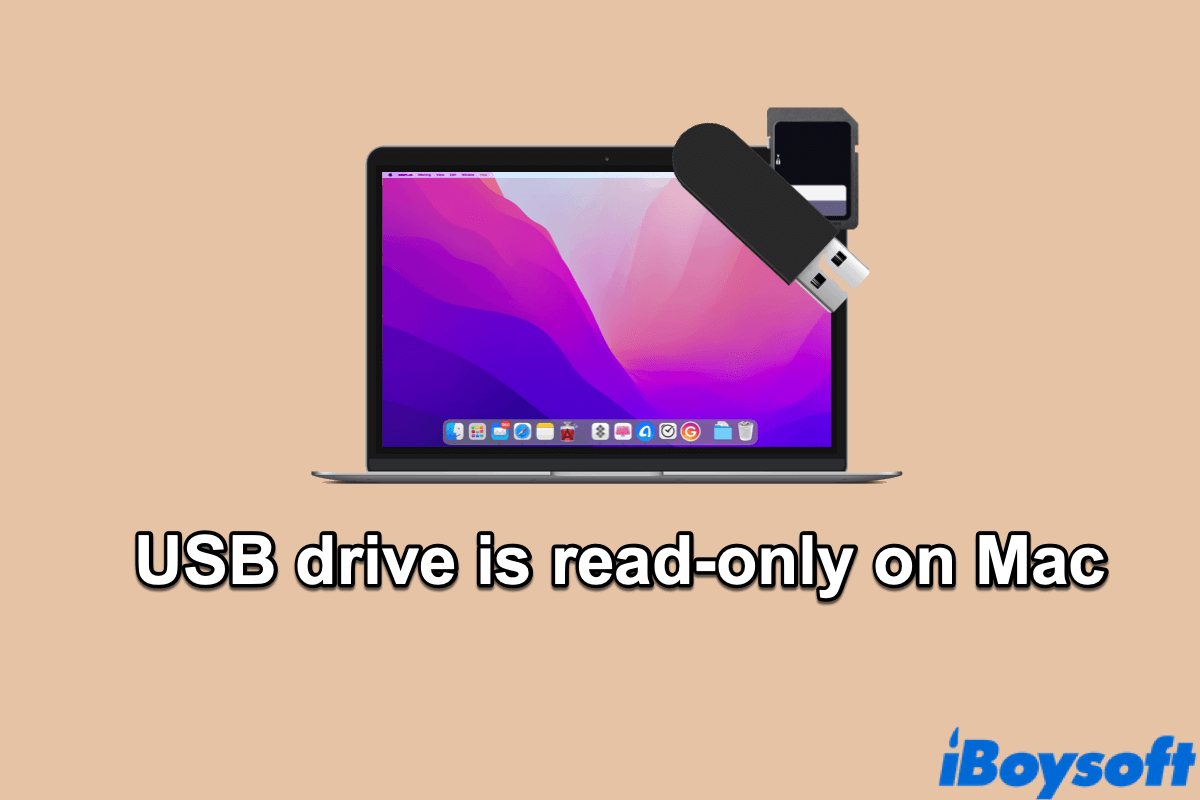 USBドライブがMacで読み取り専用の場合の修正方法