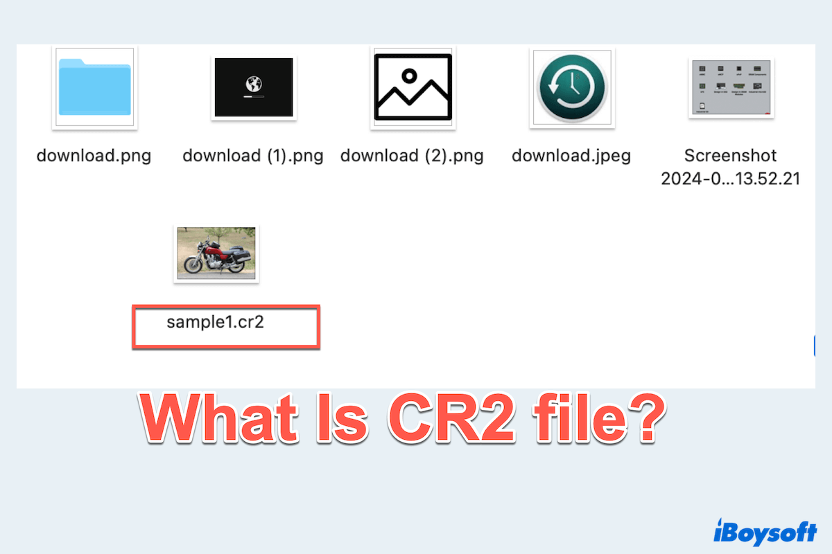 Resumo do que é o arquivo CR2