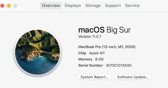 Which Macs use Apple silicon