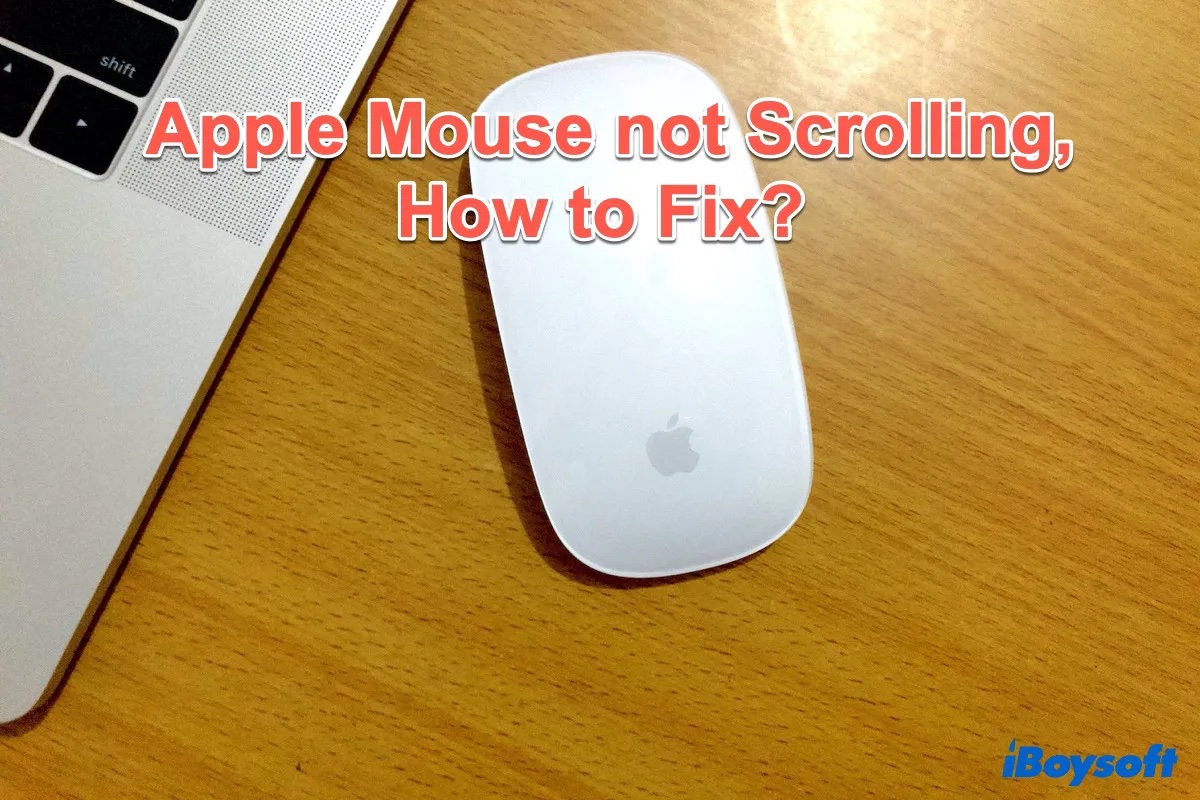 Apple Maus nicht scrollen