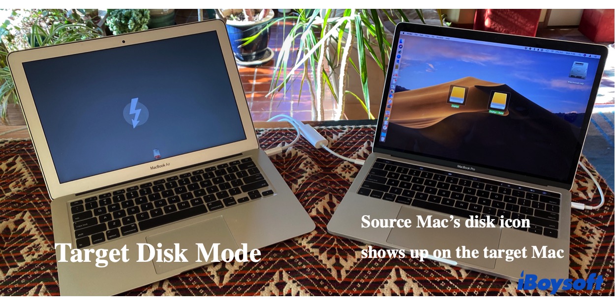 Bild zeigt zwei Macs  die im Target Disk Mode übertragen