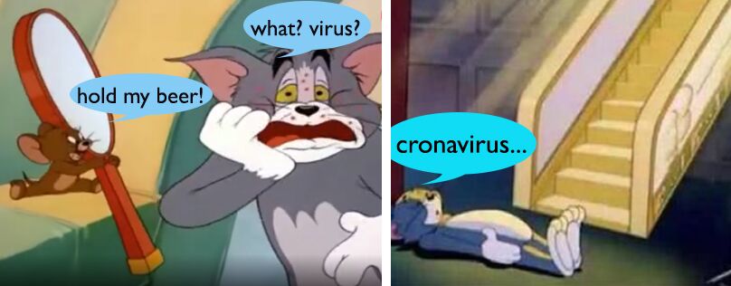Tom hat einen Virus