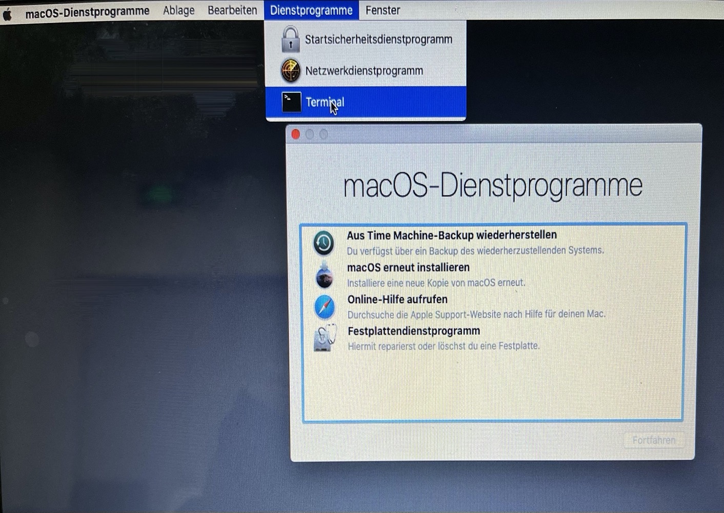 Öffnen Sie Terminal im macOS-Wiederherstellungsmodus 