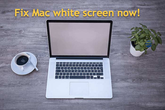 Reparieren Sie den weißen Mac Bildschirm