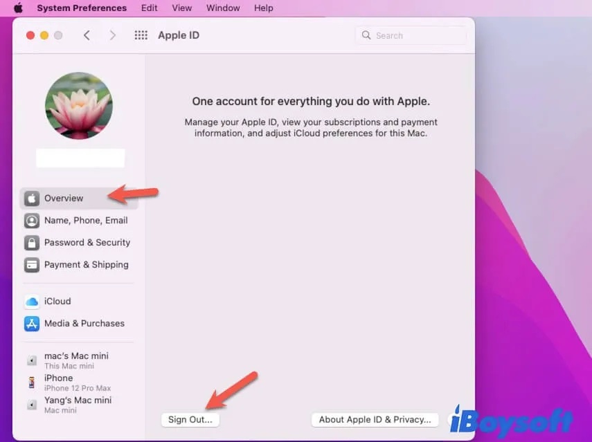 Abmelden von iCloud in Apple ID mit Admin Passwort