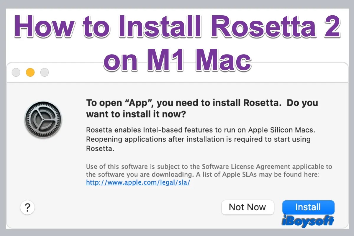 wie installiert man Rosetta auf dem M1 Mac