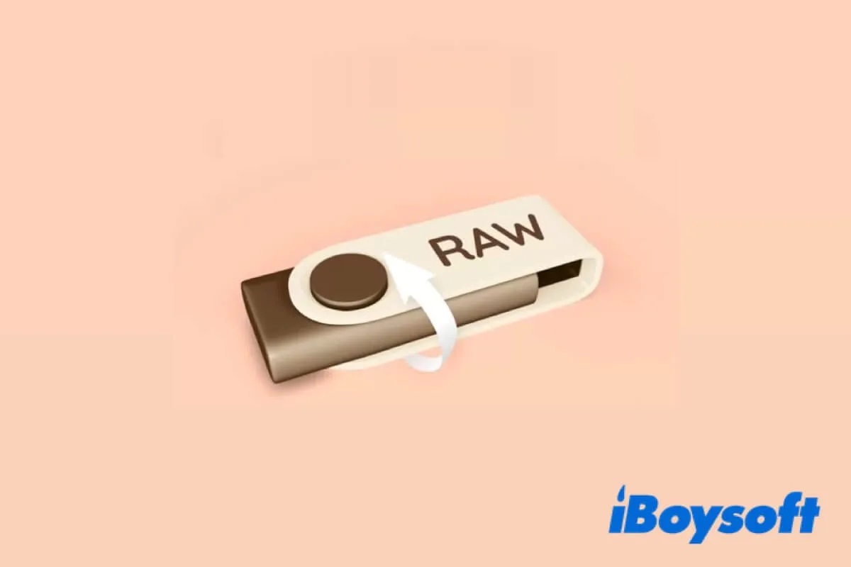Wie stellt man RAW USB wieder her