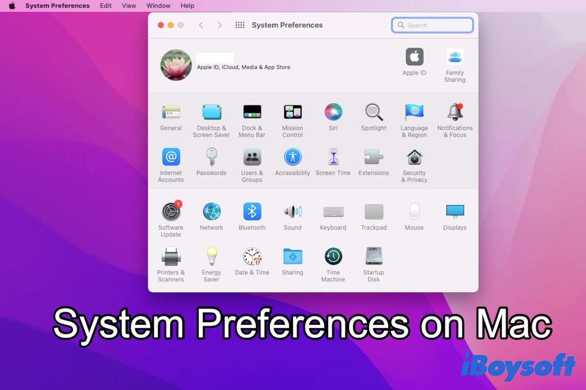Systemeinstellungen Mac