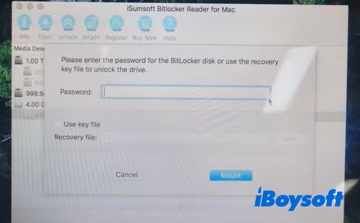 iSumsoft ile BitLocker diskini parola ile açma ekranı