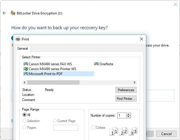 Print BitLocker recovery key