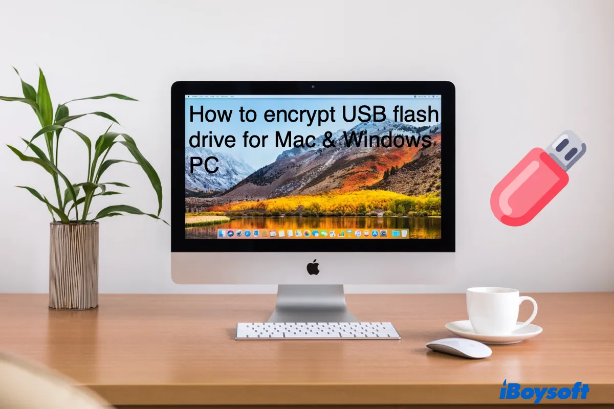 como criptografar USB no Mac e Windows