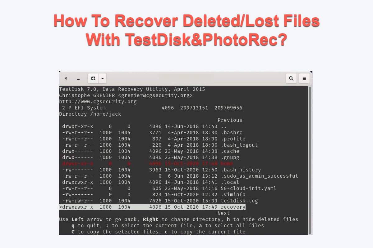 Cómo recuperar archivos eliminados/perdidos con TestDisk PhotoRec