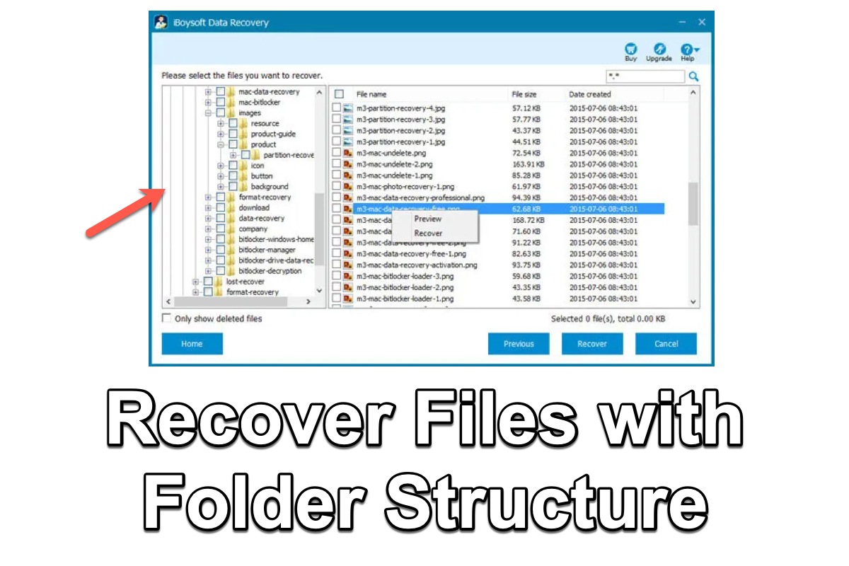 recover files with folder structure