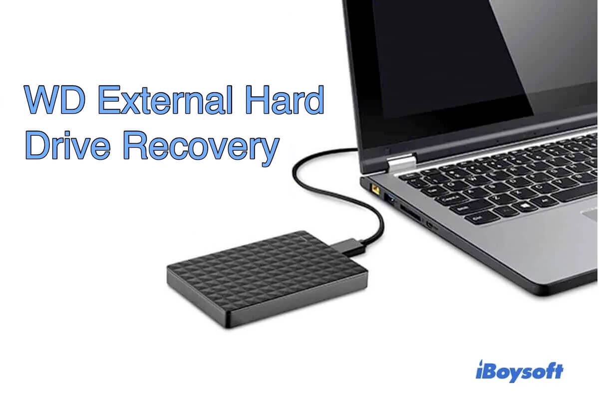 WD external hard drive recovery