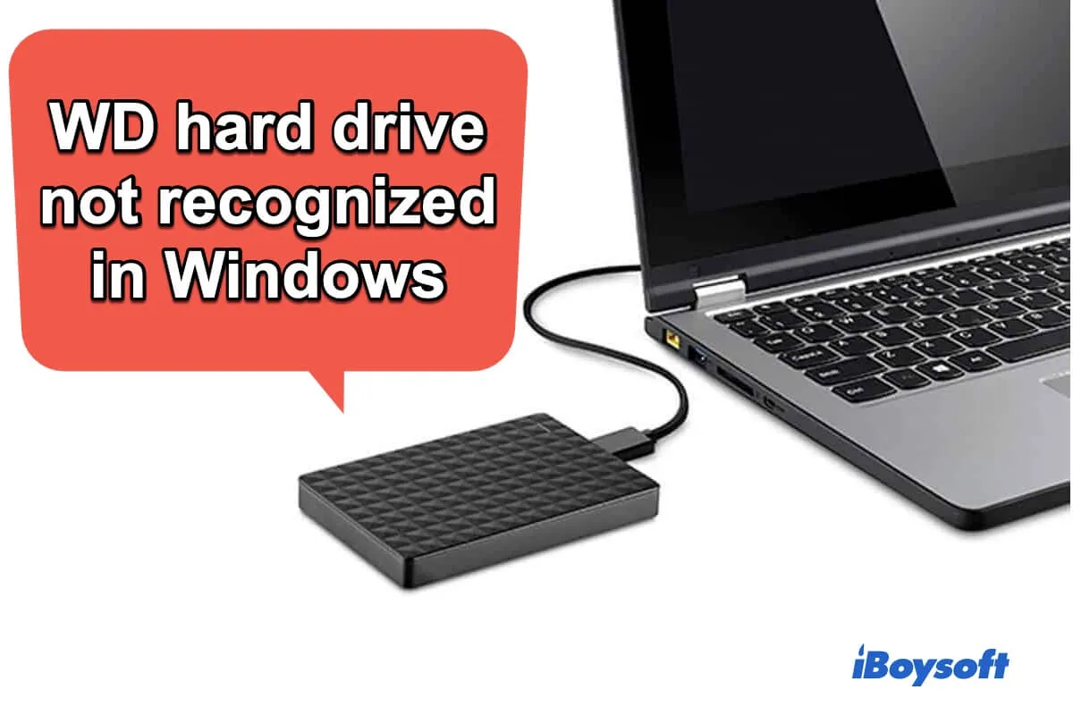 WD hard drive not recognized Windows