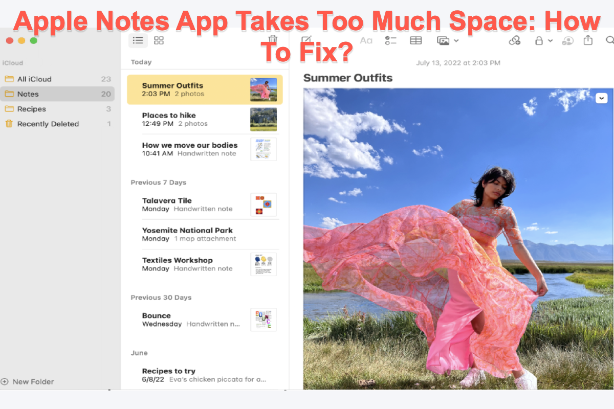 Apple Notes App Takes Too Much Space