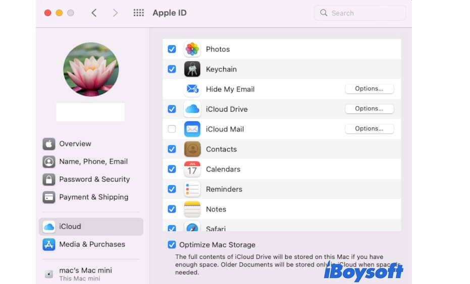 use iCloud to back up most files on Mac