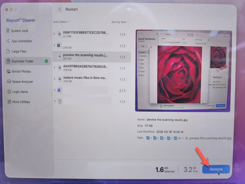 remove duplicate files