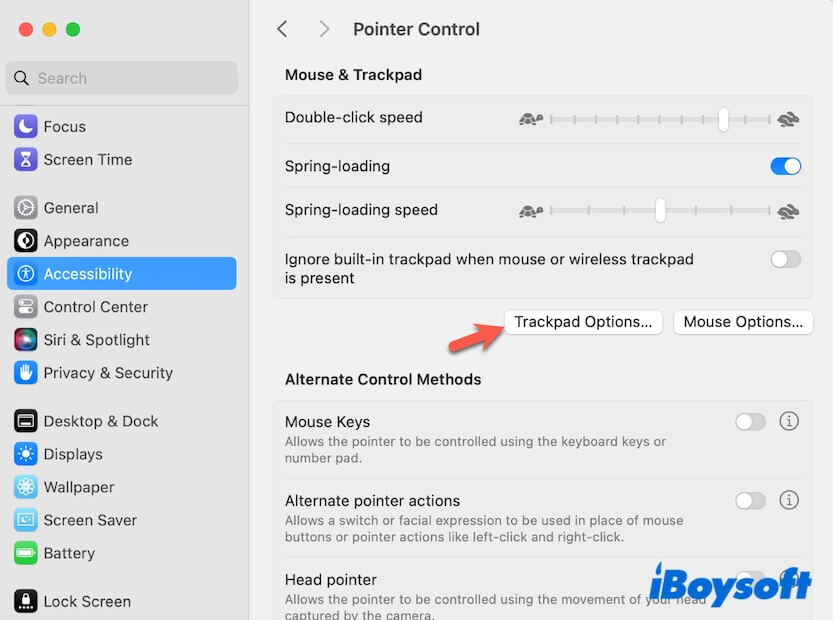 click Trackpad options in Accessibility