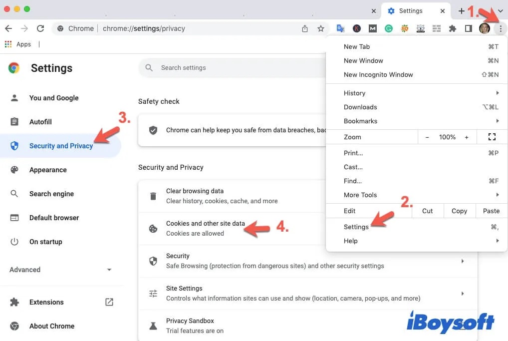 check cookies and other side data of websites in Chrome