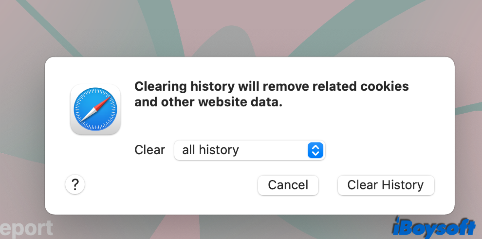 delete browsing history from safari