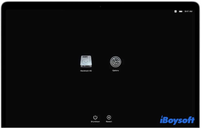 Klicken Sie auf Optionen, um den Recovery-Modus auf einem Apple Silicon Mac zu betreten