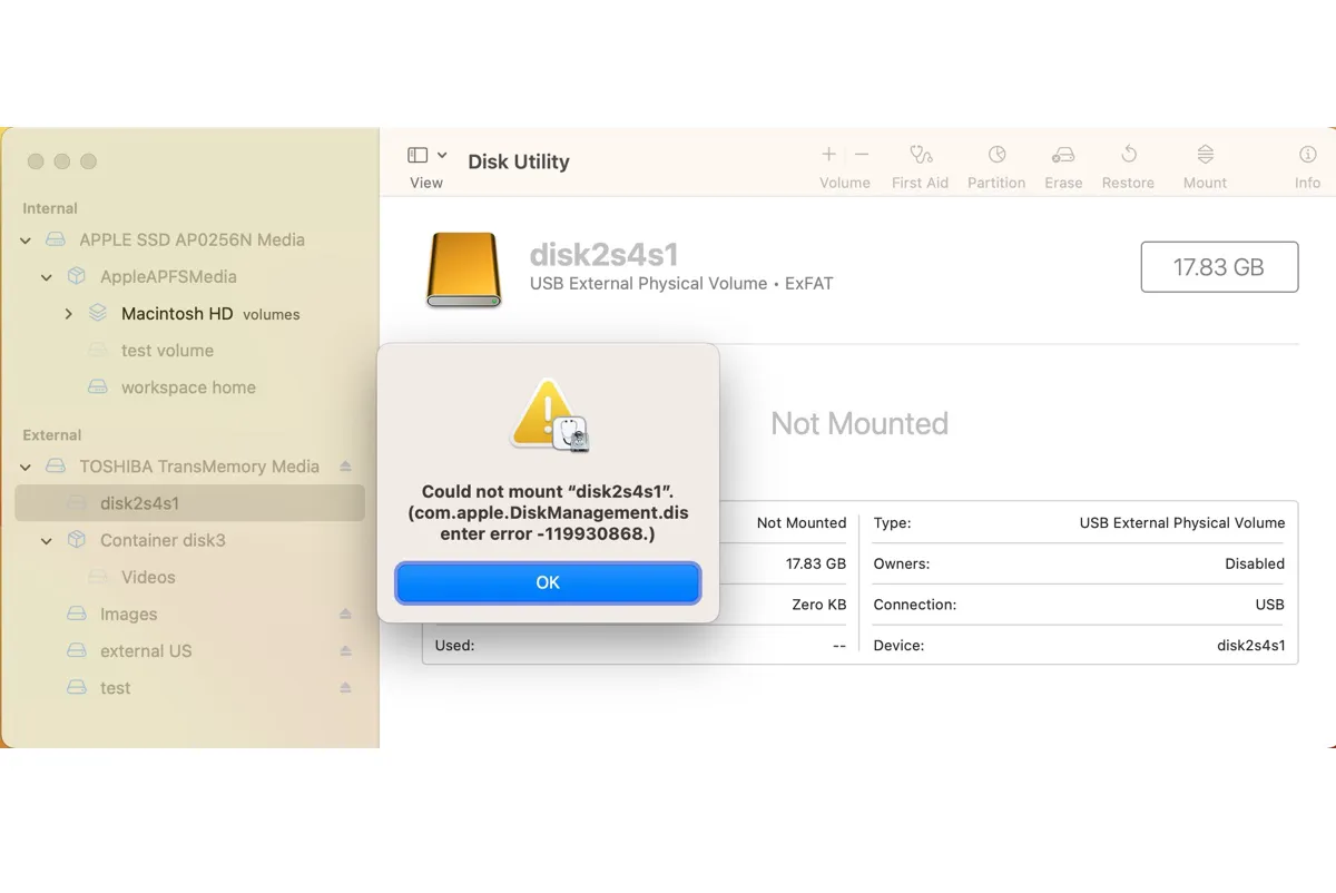 Fix com apple diskmanagement disenter error 119930868 on Mac