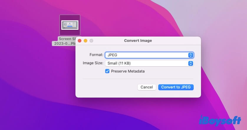 select an image format in Convert Image window
