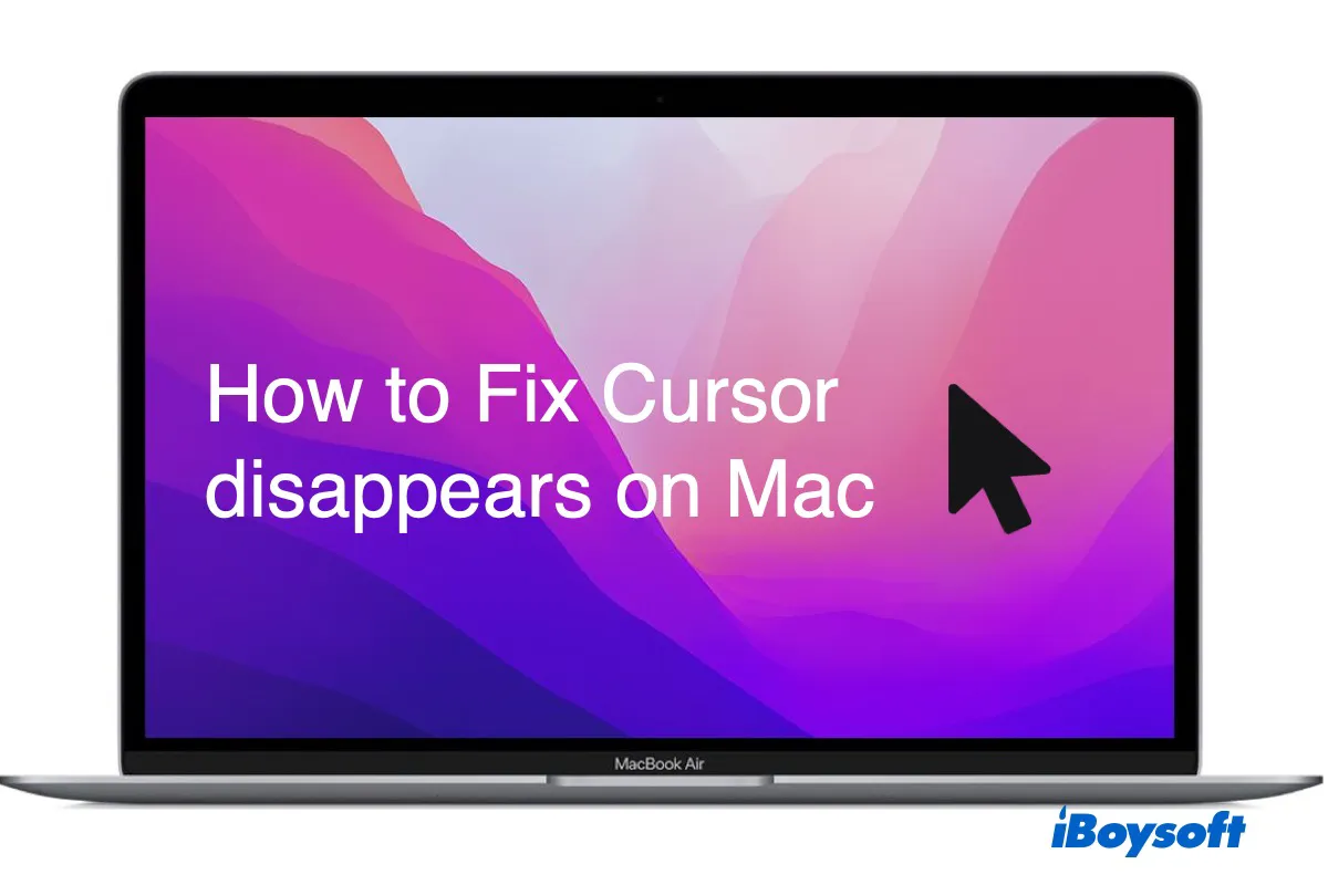 how to fix cursor disappearing on Mac