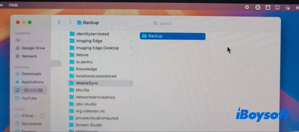 Open Backup in Library