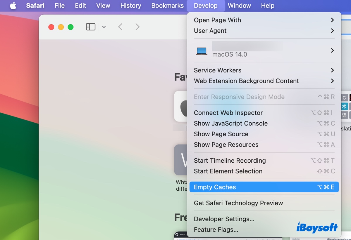 How to empry caches in Safari