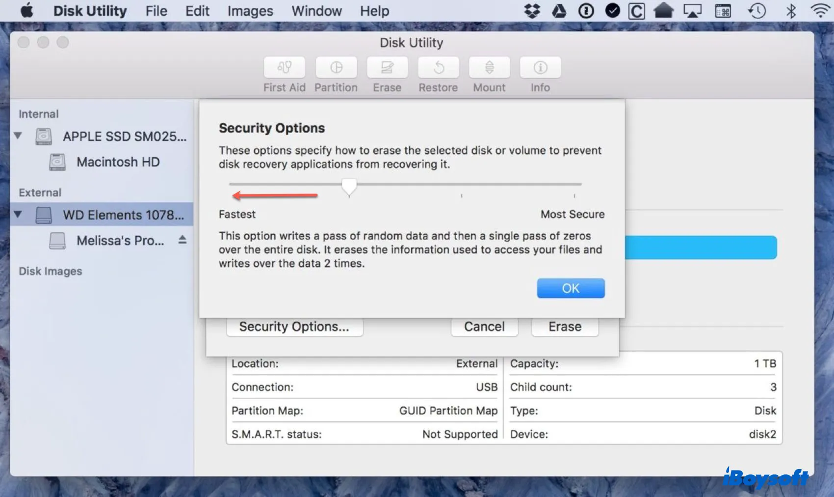 the Security Option window