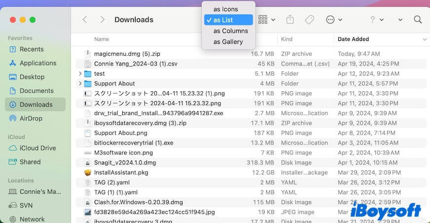 list files in Downloads folder as list