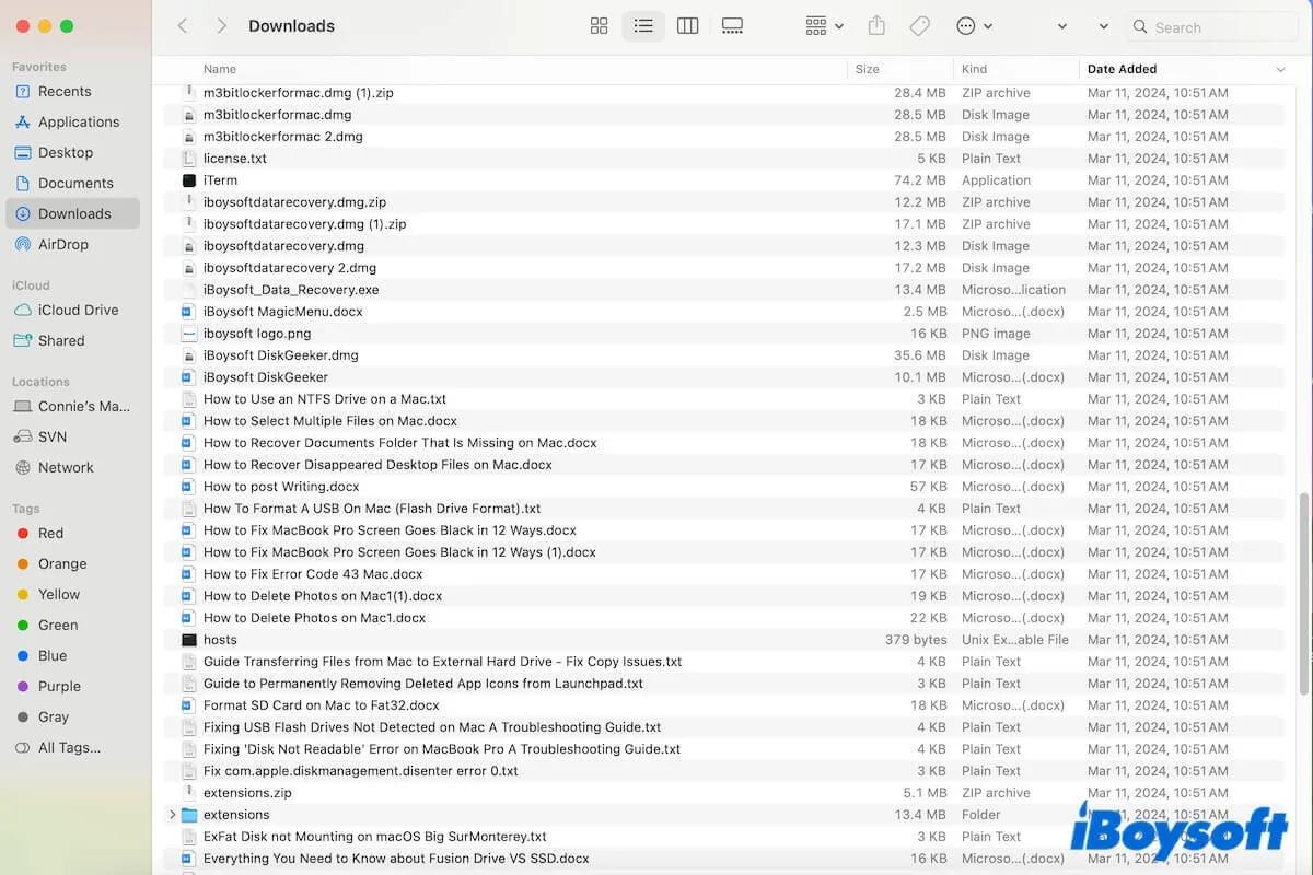 Downloads folder on Mac