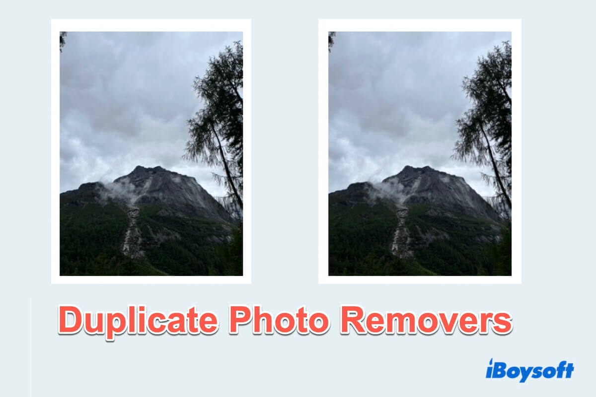 Resumo do Removedor de Fotos Duplicadas no Mac