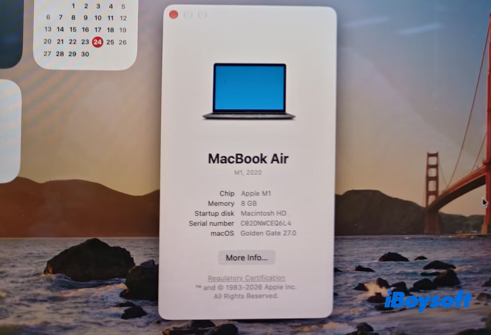 Apple Silicon Mac information