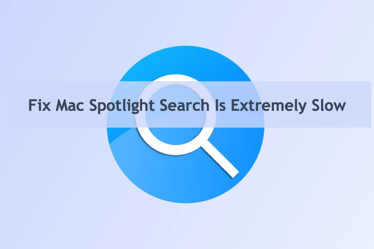 Beheben Sie, dass die Mac Spotlight-Suche langsam ist