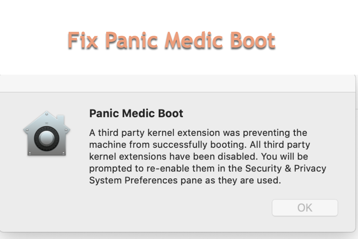 how to fix Panic Medic Boot on Mac