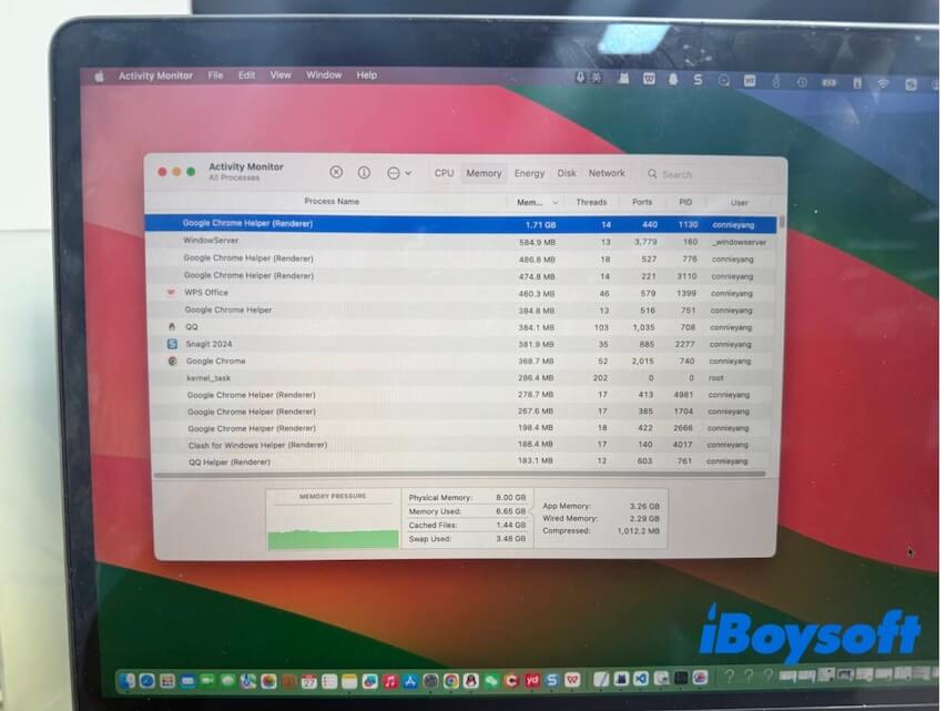 überprüfen Sie den RAM-Verbrauch im Aktivitätsmonitor
