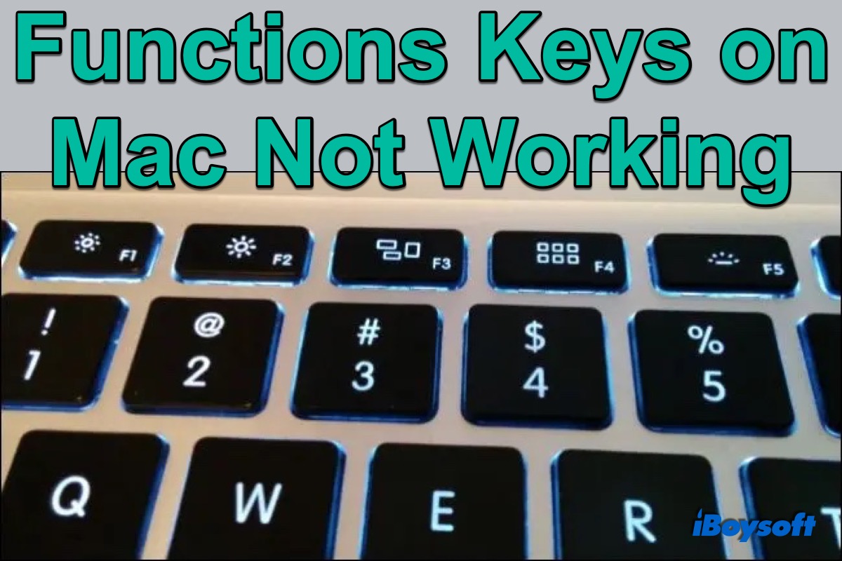 function keys on mac not working