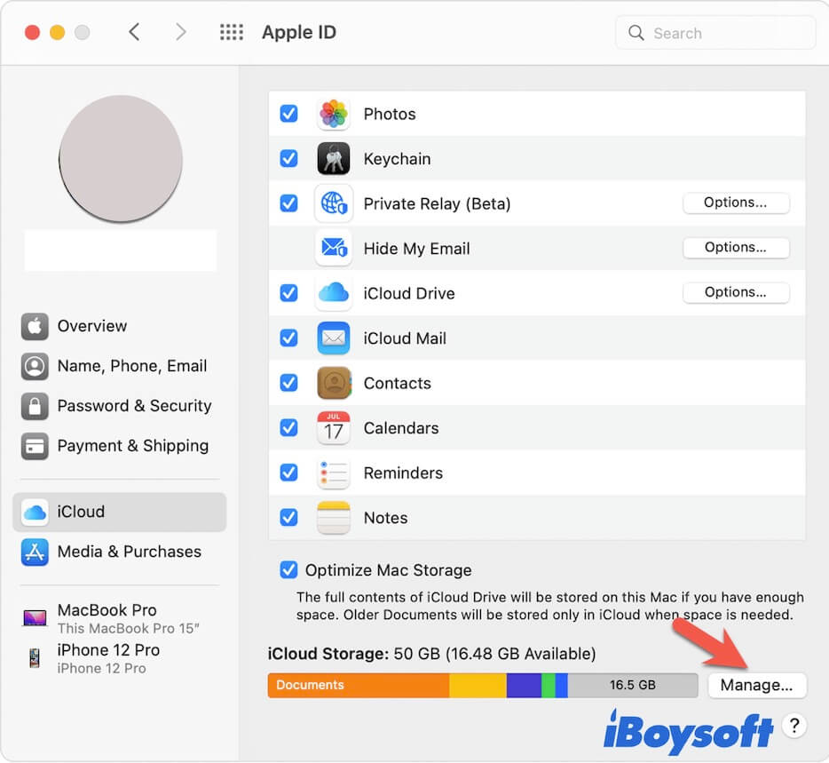 click Manage in iCloud on Mac