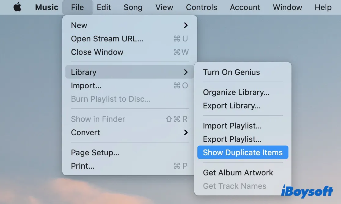 show duplicate songs in Music