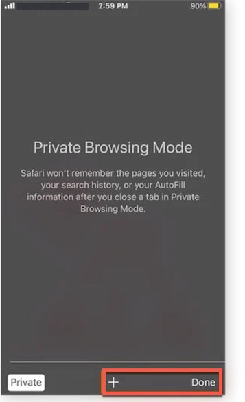 Safari private browsing window on iPhone
