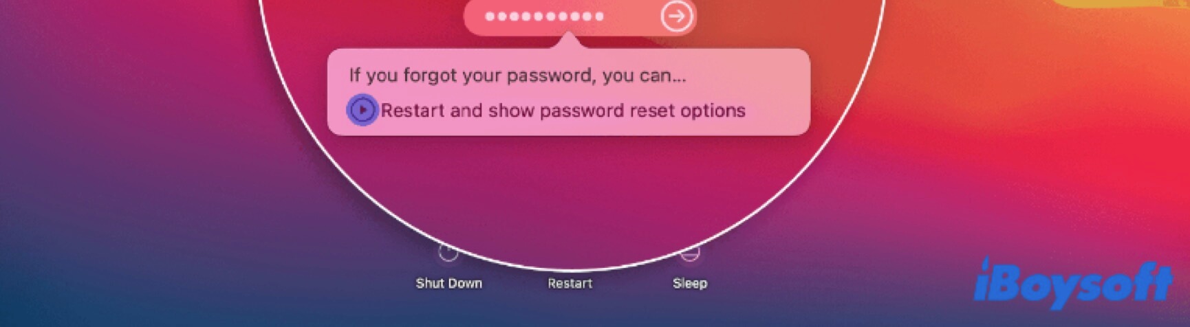 restart and show password reset options on Mac