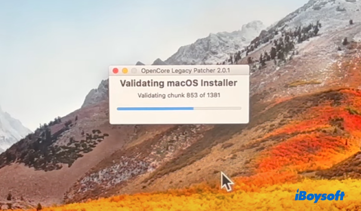 The downloaded installer being verified