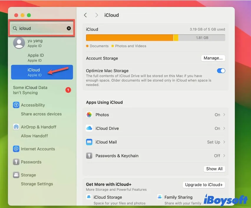 search for iCloud in the System Settings box