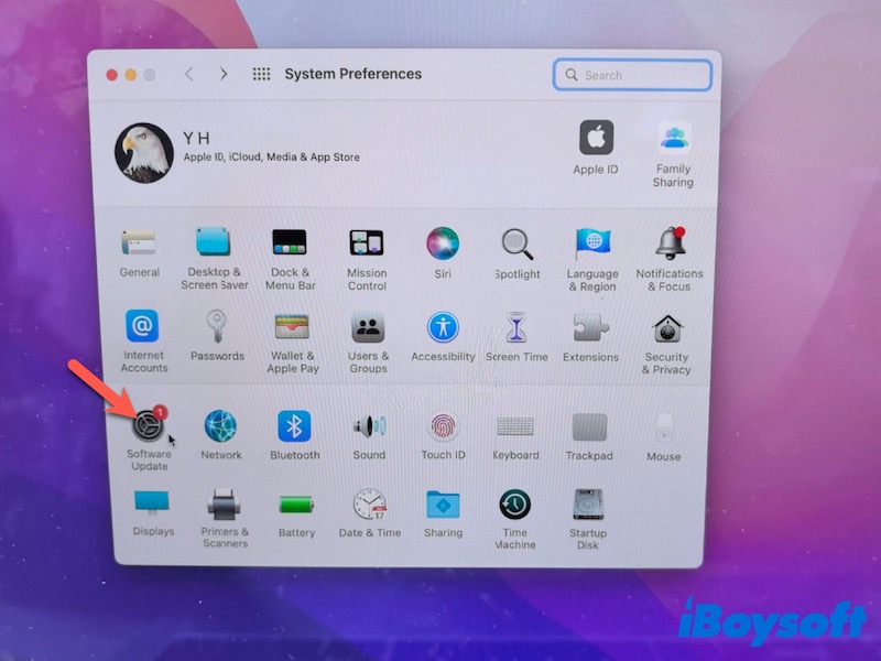 Softwareaktualisierung Mac