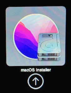 choose macOS Installer option with a grey hard disk icon